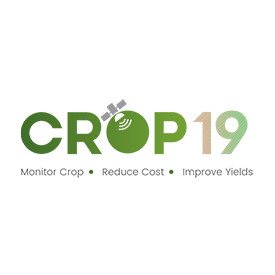 Crop19